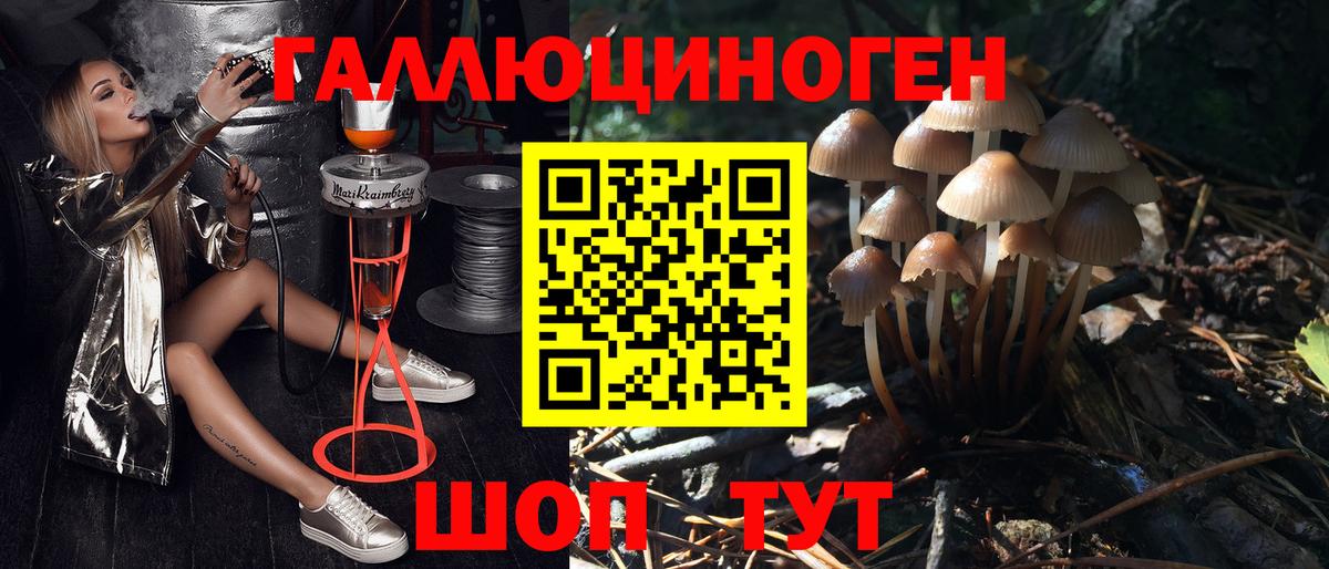 Псилоцибиновые грибы Magic Shrooms Советский